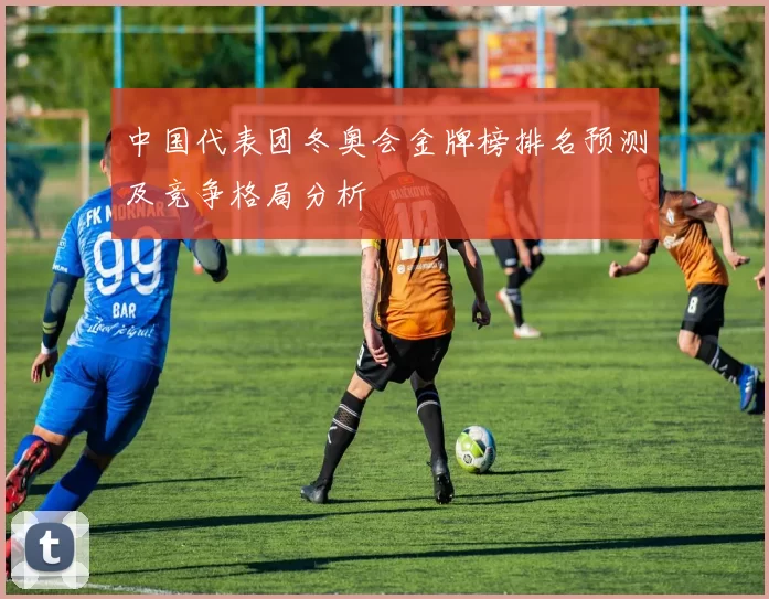 中国代表团冬奥会金牌榜排名预测及竞争格局分析